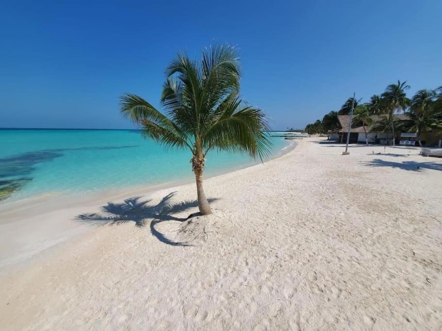Casa Salina Apartment Isla Mujeres Luaran gambar